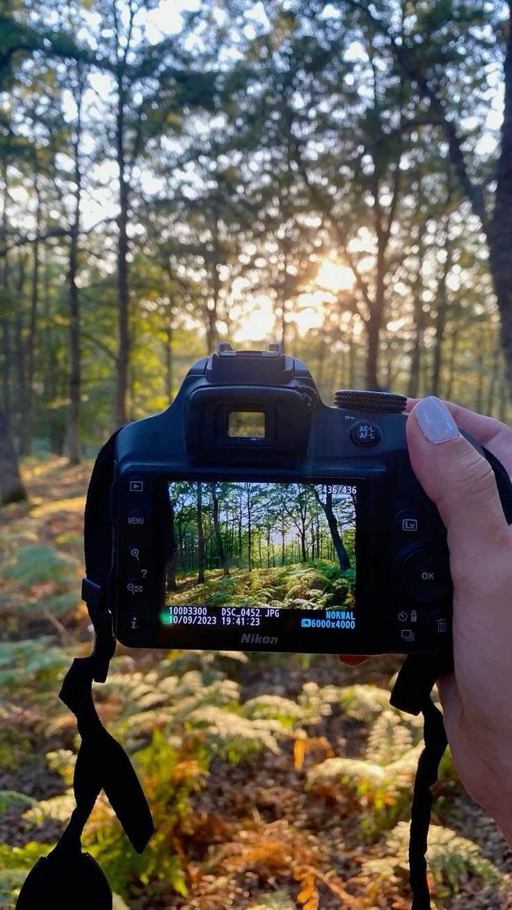 Tips Fotografi Pemula: Gambar Tajam dan Berkualitas